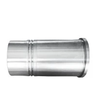 Dizelski motor BFM1013 rukavac cilindra P/N 04253772